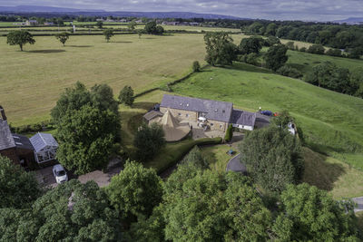 High angle view of trees on field