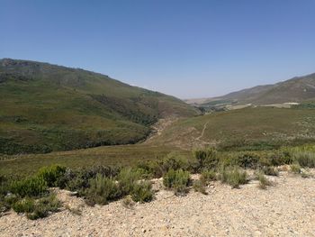 Scenic view of field against clear blue sky