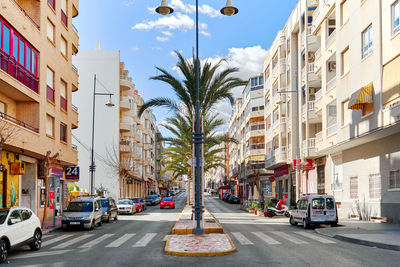 City street by palm trees and buildings against sky