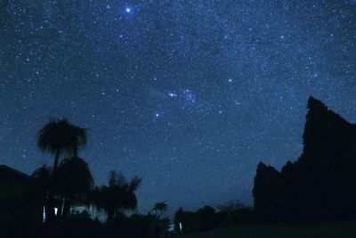 Low angle view of silhouette trees against sky at night