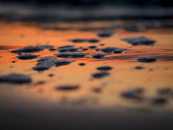 Surface level of beach at sunset