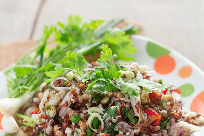 Close-up of salad on plate