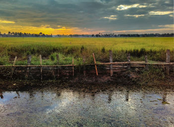 Scenic view of field against sky during sunset