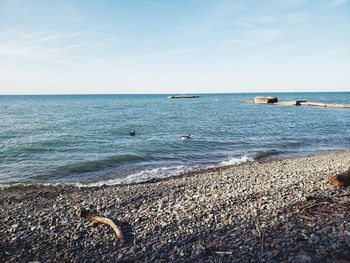 Scenic view of sea against sky