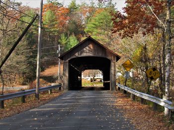 View of bridge in forest