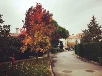 Road by trees against sky