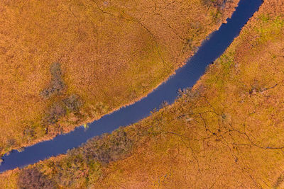 High angle view of trees on land