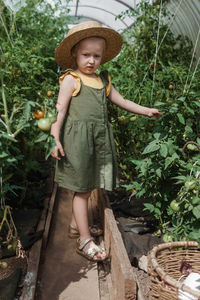 A little girl in a straw hat is picking tomatoes in a greenhouse. harvest concept.