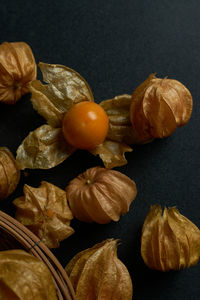High angle view of fruits on table