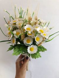 Close-up of hand holding white flowering plant