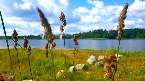 Panoramic view of lake against sky