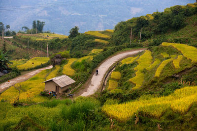 Scenic view of landscape