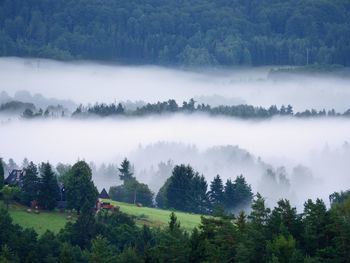 Magnificent heavy mist in landscape. autumn creamy  fog is colored to gold and blue