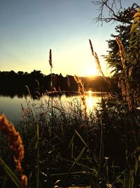 Scenic view of lake against sky during sunset