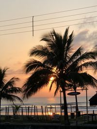 Silhouette palm trees on beach against sky during sunset