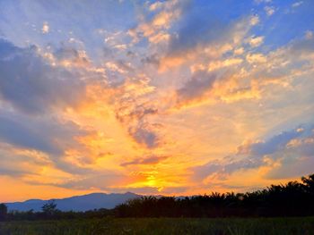 Scenic view of silhouette trees against sky during sunset
