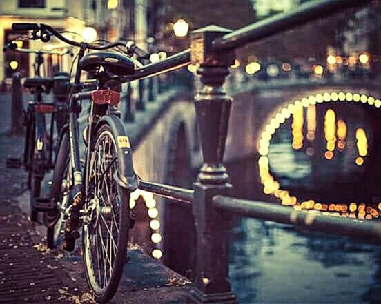 transportation, bicycle, mode of transport, land vehicle, water, street, metal, stationary, focus on foreground, wheel, built structure, parked, parking, wet, reflection, outdoors, architecture, close-up, railing, no people