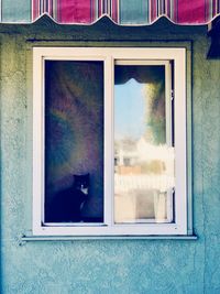Digital composite image of a cat window