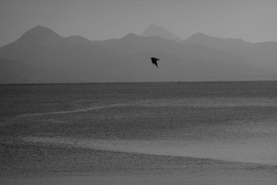 Silhouette bird flying over mountain against sky