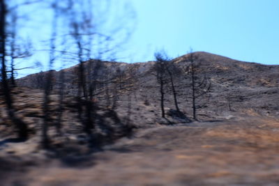 Low angle view of bare tree against clear sky