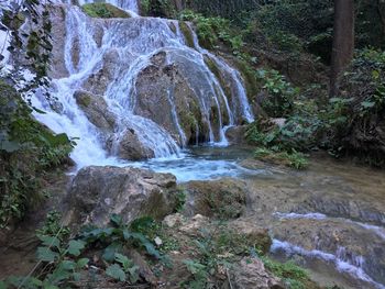 Scenic view of waterfall in forest