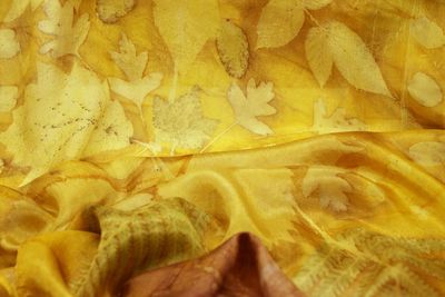 Full frame shot of yellow and leaves
