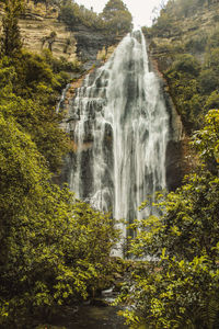 Scenic view of waterfall in forest