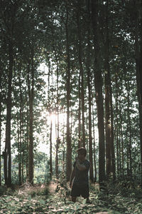 Man standing by trees in forest