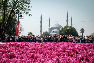 Istanbul tulip festival with crowd of people and blue temple in the background 