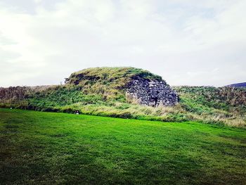 Green grass on field against sky
