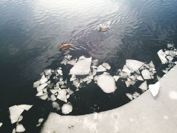 High angle view of lake