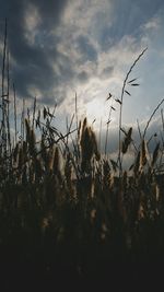 Scenic view of field against cloudy sky