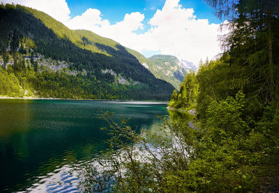 Scenic view of lake in forest against sky