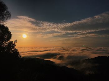 Scenic view of silhouette trees against sky at sunset