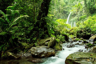 River flowing through rocks