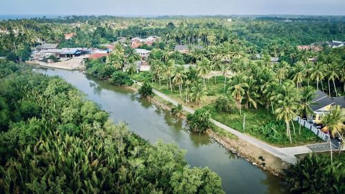 High angle view of river amidst plants
