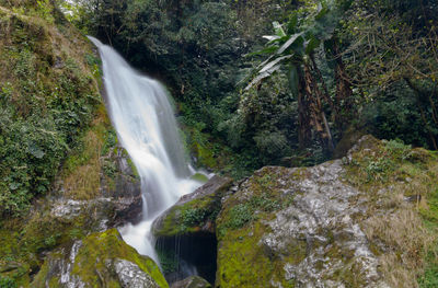 Scenic view of waterfall in forest