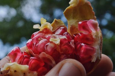 Close-up of strawberries