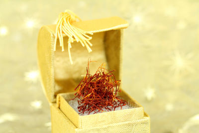 Close up of plant against blurred background