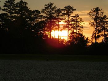 Silhouette trees in park against sky during sunset