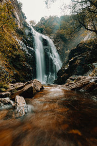 Scenic view of waterfall in forest