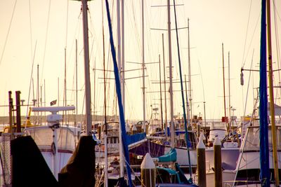 Boats moored at harbor