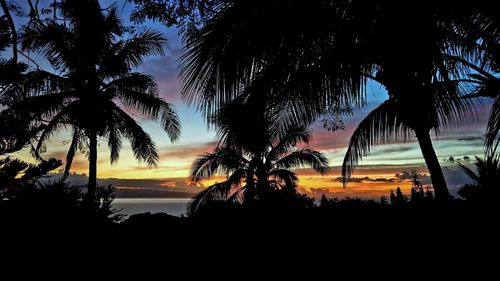 Silhouette palm trees against sky during sunset