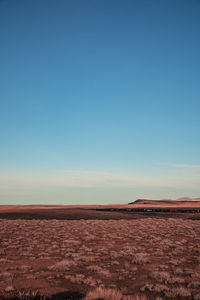 Scenic view of landscape against clear blue sky