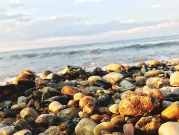 Close-up of pebbles on beach against sky