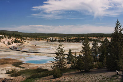 Tourist on footpath to visit geothermal pools in spring, yellowstone national park, wyoming, usa. 