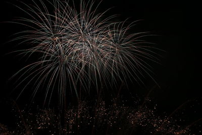 Low angle view of firework display at night