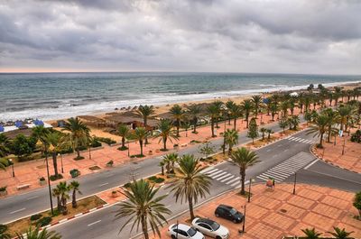 High angle view of palm trees on beach against sky