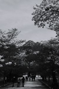People standing on tree