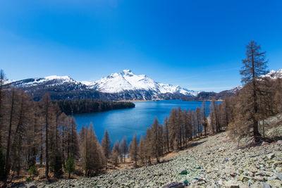 Scenic view of lake by snowcapped mountains against blue sky